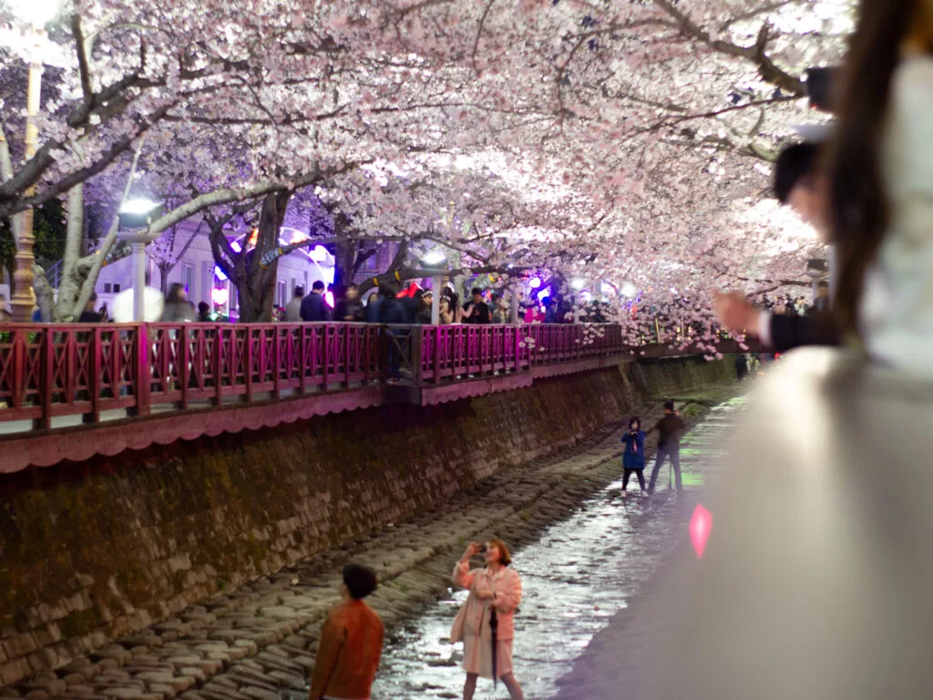 Yeojwacheon Stream