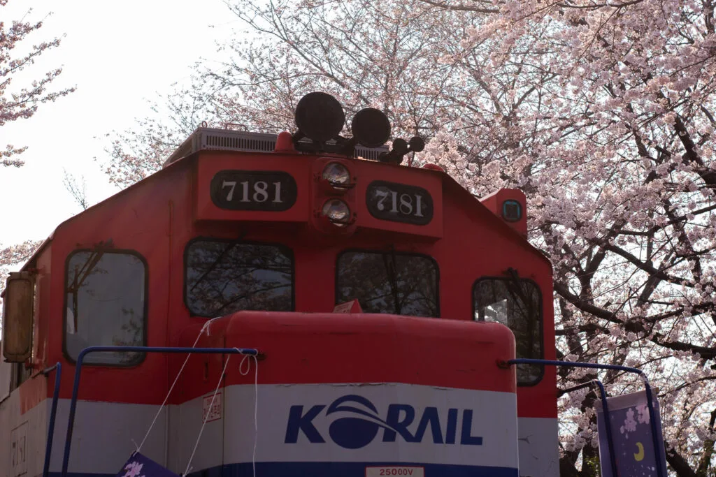 Kereta di Gyeonghwa Station (Cherry Blossom Road)