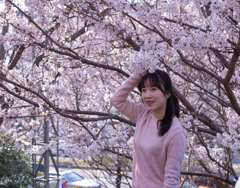 Warga lokal sedang foto di Gyeonghwa Station (Cherry Blossom Road)