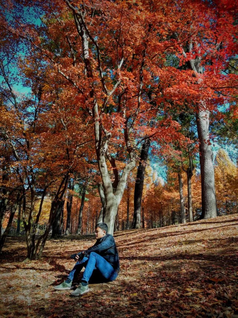 menikmati musi gugur di nami island