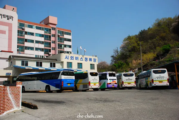 Terminal Bus Jinhae