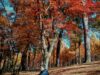 Backpacking ke Korea (bagian 1)