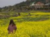 Pengalaman Seru di Korea Selatan [Jeju – Jinhae -Seoul] – Bagian 3 (From Jeju to Seoul)