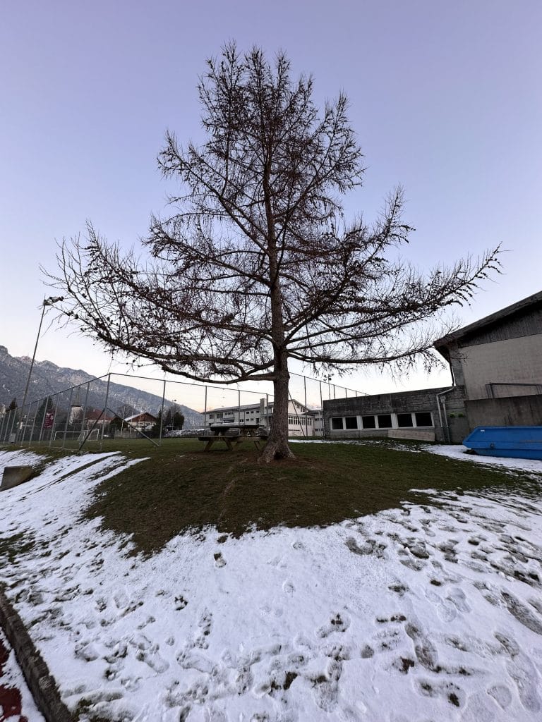ada lapangan bola di area ini, ternyata ini adalah area sekolah