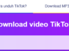 Cara Mudah Download Reels dan Tiktok Tanpa Watermark