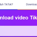 Cara Mudah Download Reels dan Tiktok Tanpa Watermark
