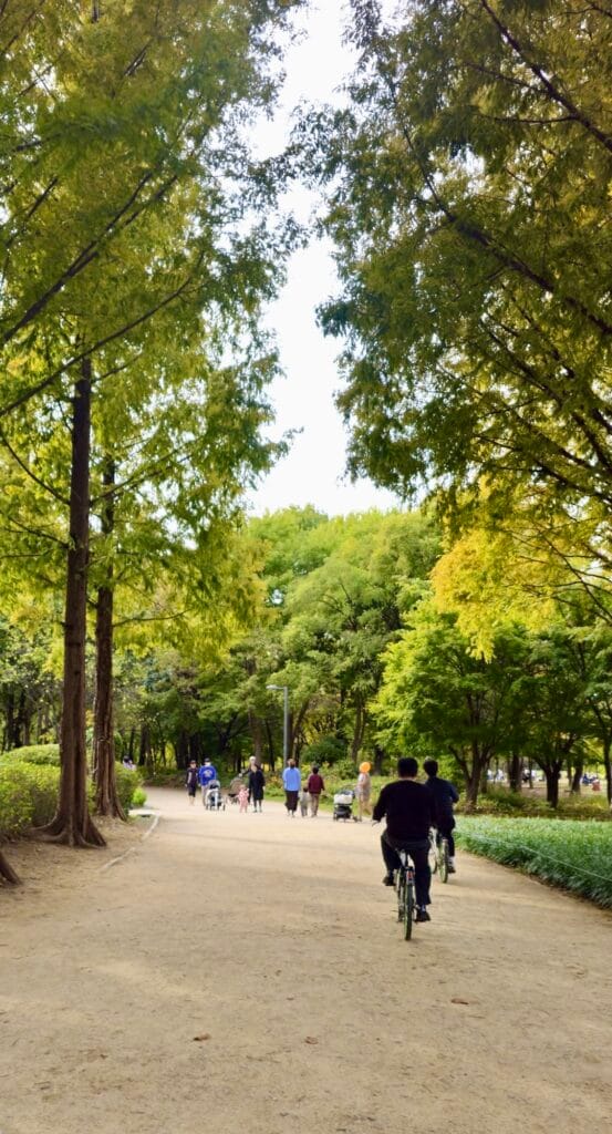 sepedaan dan jalan jalan di seoul forest