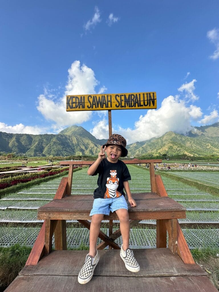 Kedai sawah sembalun