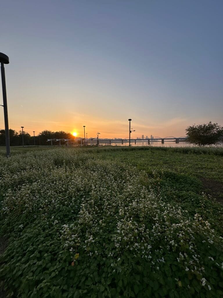 menikmati sunset di hangang park