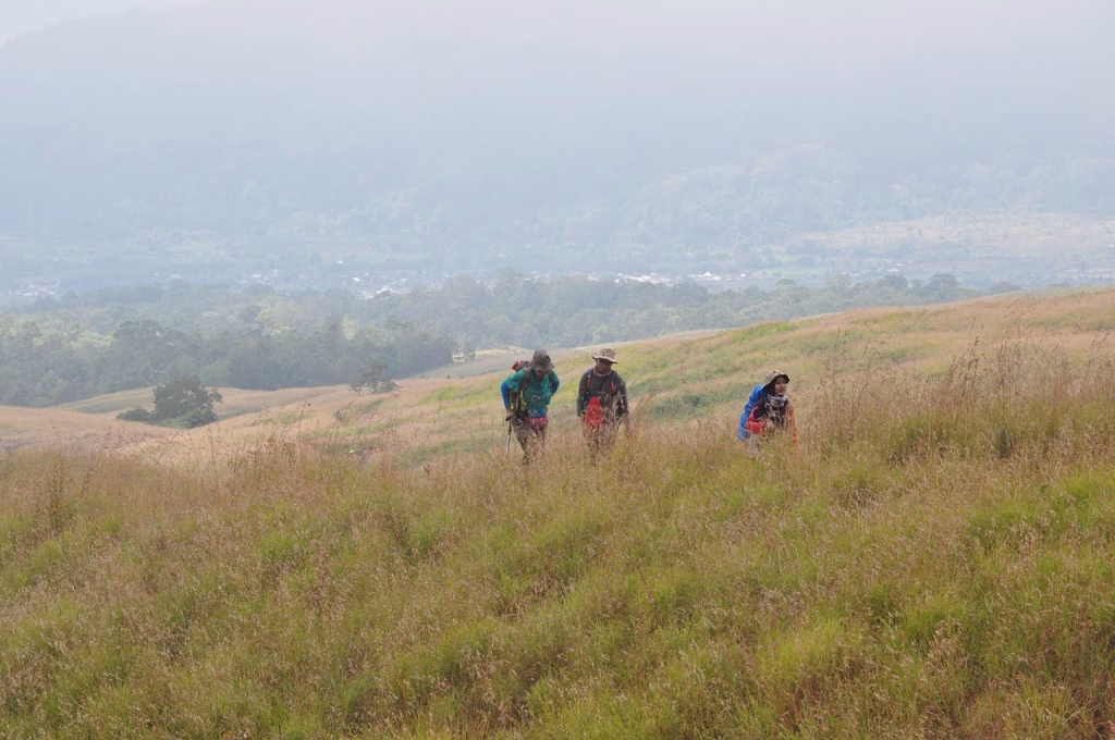 perlu pendampingan ketika mendaki gunung